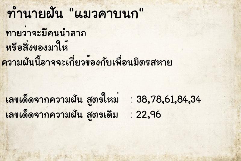 ทำนายฝัน แมวคาบนก