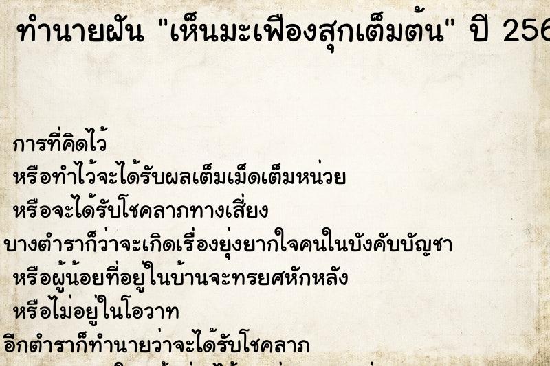 ทำนายฝัน เห็นมะเฟืองสุกเต็มต้น  เลขนำโชค 