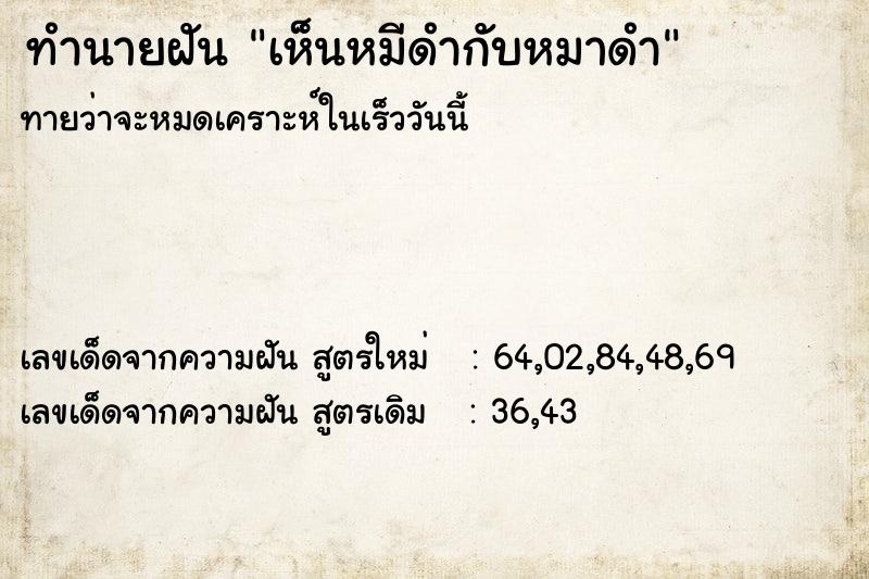 ทำนายฝัน เห็นหมีดำกับหมาดำ