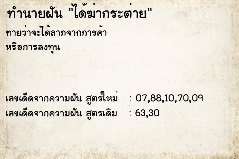 ทำนายฝัน ได้ฆ่ากระต่าย  เลขนำโชค 