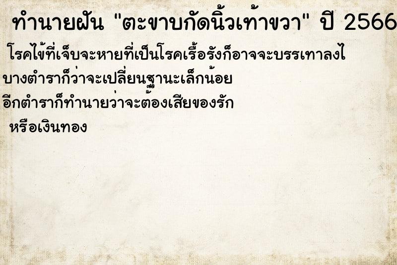 ทำนายฝัน ตะขาบกัดนิ้วเท้าขวา  เลขนำโชค 