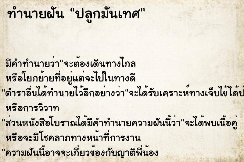 ทำนายฝัน ปลูกมันเทศ