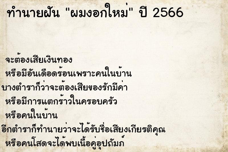 ทำนายฝัน ผมงอกใหม่  เลขนำโชค 