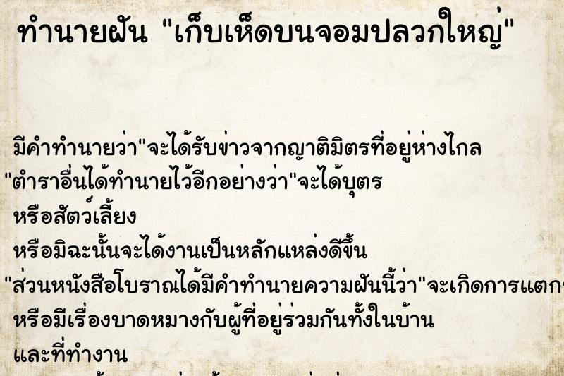 ทำนายฝัน เก็บเห็ดบนจอมปลวกใหญ่