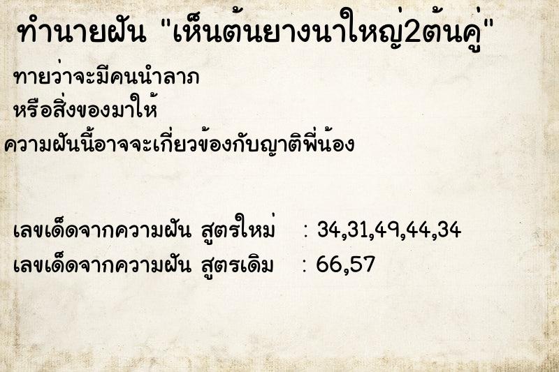 ทำนายฝัน เห็นต้นยางนาใหญ่2ต้นคู่