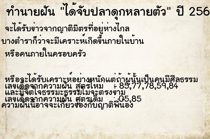 ทำนายฝัน ได้จับปลาดุกหลายตัว