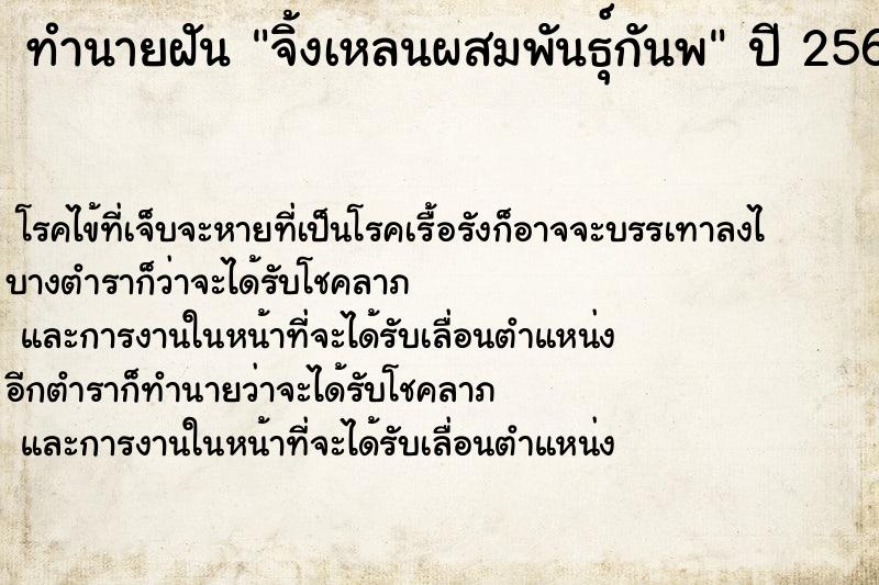 ทำนายฝัน จิ้งเหลนผสมพันธุ์กันพ