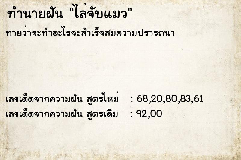 ทำนายฝัน ไล่จับแมว  เลขนำโชค 