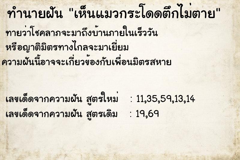 ทำนายฝัน เห็นแมวกระโดดตึกไม่ตาย