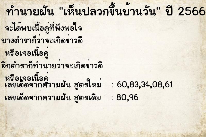 ทำนายฝัน เห็นปลวกขึ้นบ้านวัน