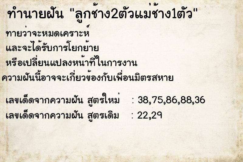 ทำนายฝัน ลูกช้าง2ตัวแม่ช้าง1ตัว