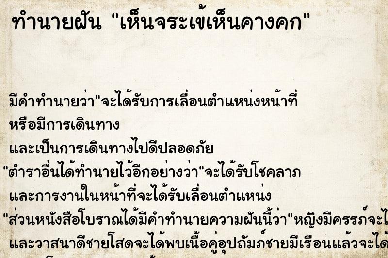 ทำนายฝัน เห็นจระเข้เห็นคางคก