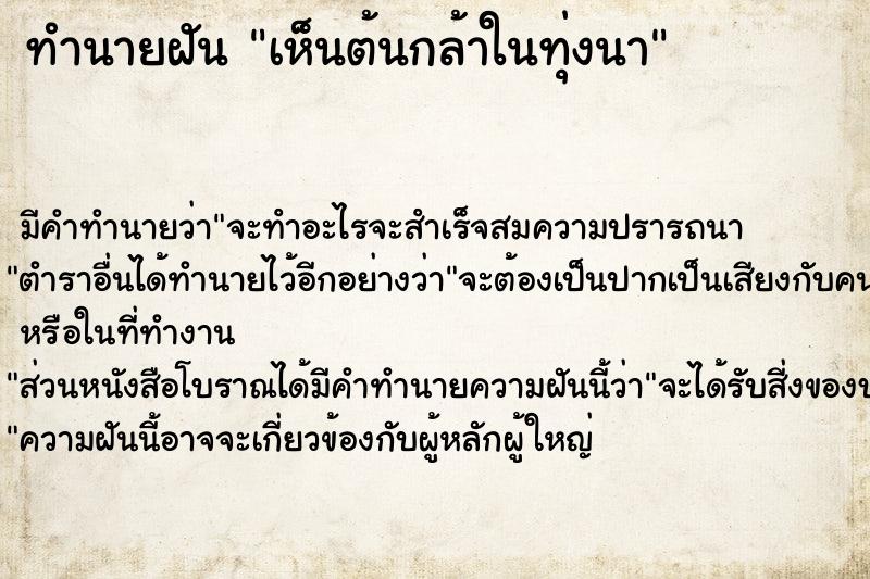 ทำนายฝัน #ทำนายฝัน #เห็นต้นกล้าในทุ่งนา  เลขนำโชค 