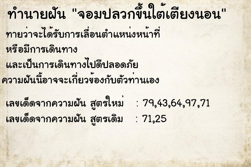 ทำนายฝัน จอมปลวกขึ้นใต้เตียงนอน