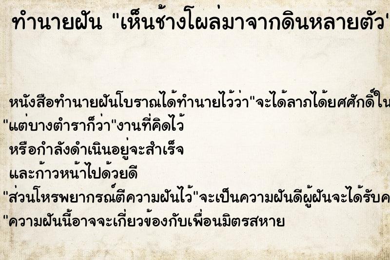 ทำนายฝัน เห็นช้างโผล่มาจากดินหลายตัว