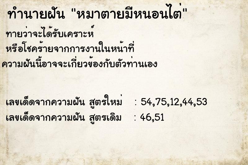 ทำนายฝัน หมาตายมีหนอนไต่