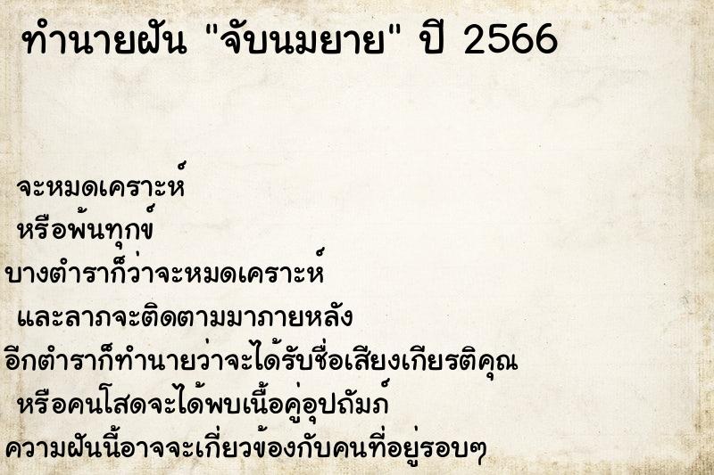 ทำนายฝัน จับนมยาย