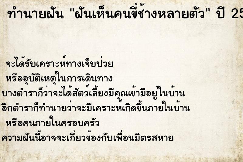 ทำนายฝัน ฝันเห็นคนขี่ช้างหลายตัว