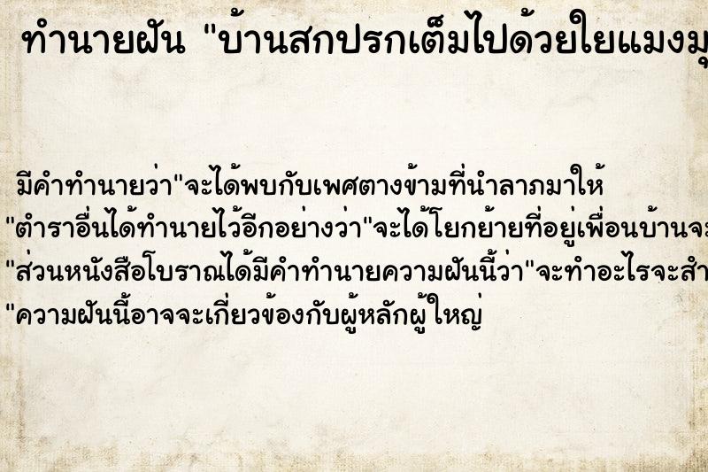 ทำนายฝัน บ้านสกปรกเต็มไปด้วยใยแมงมุมและเศษผง