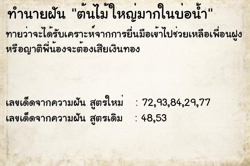 ทำนายฝัน ต้นไม้ใหญ่มากในบ่อน้ำ