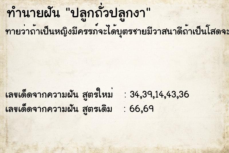 ทำนายฝัน ปลูกถั่วปลูกงา