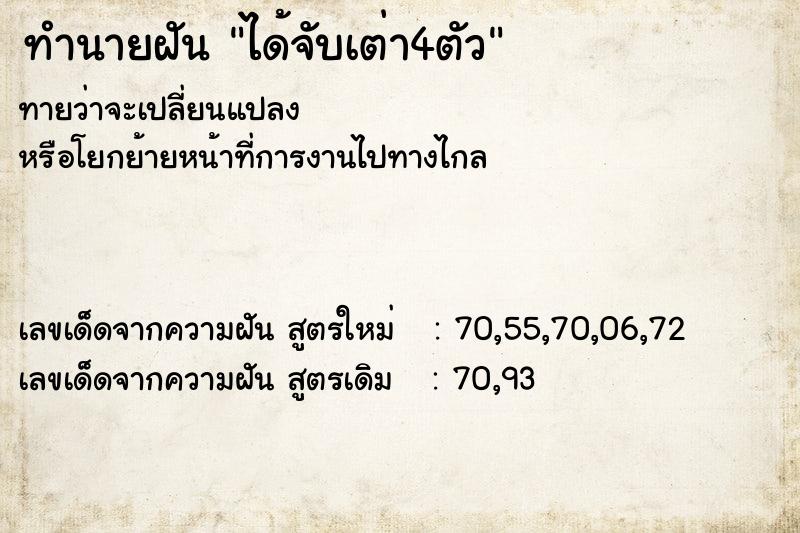 ทำนายฝัน ได้จับเต่า4ตัว