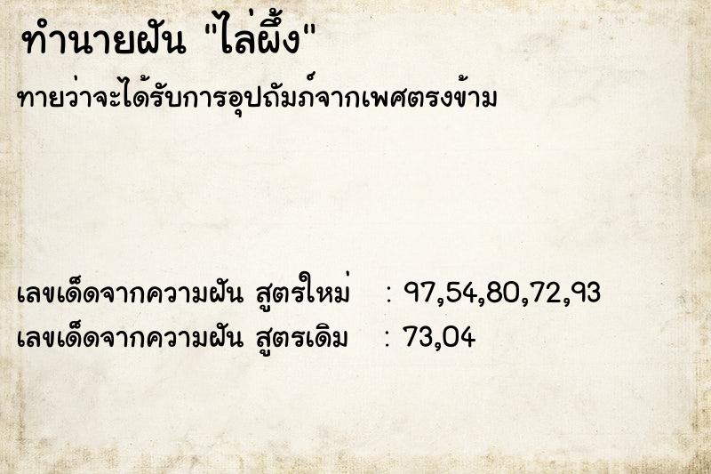 ทำนายฝัน ไล่ผึ้ง