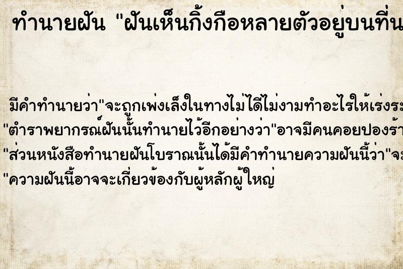 ทำนายฝัน ฝันเห็นกิ้งกือหลายตัวอยู่บนที่นอน