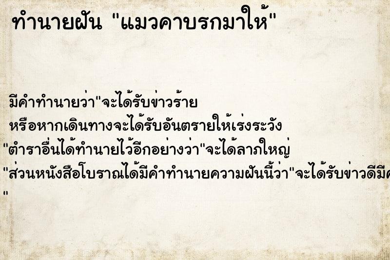 ทำนายฝัน แมวคาบรกมาให้  เลขนำโชค 