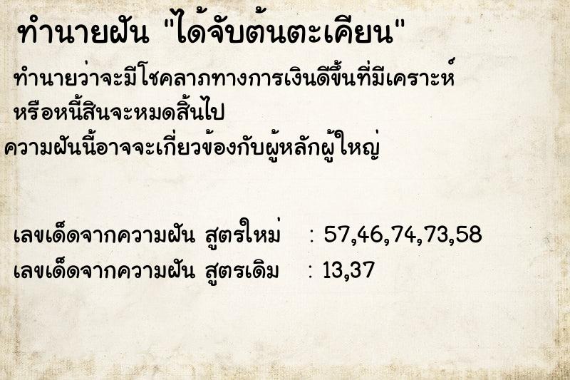 ทำนายฝัน ได้จับต้นตะเคียน