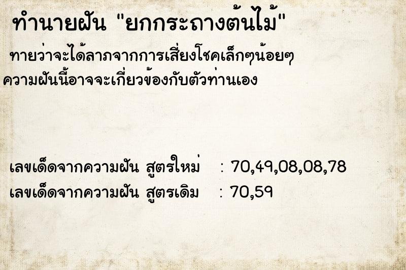 ทำนายฝัน ยกกระถางต้นไม้คืนวันเสาร์  เลขนำโชค 