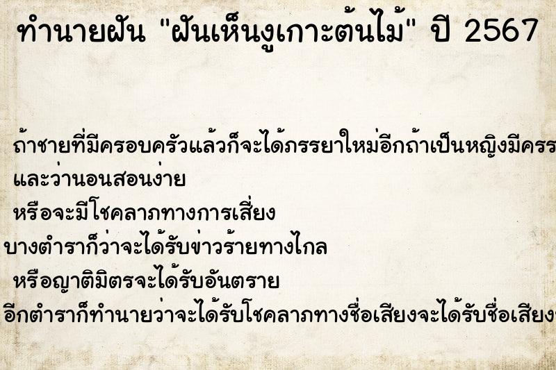 ทำนายฝัน ฝันเห็นงูเกาะต้นไม้