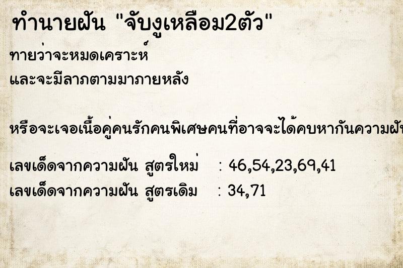 ทำนายฝัน จับงูเหลือม2ตัว