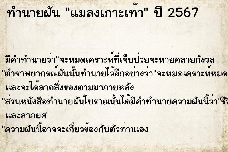 ทำนายฝัน #ทำนายฝัน #แมลงเกาะเท้า  เลขนำโชค 