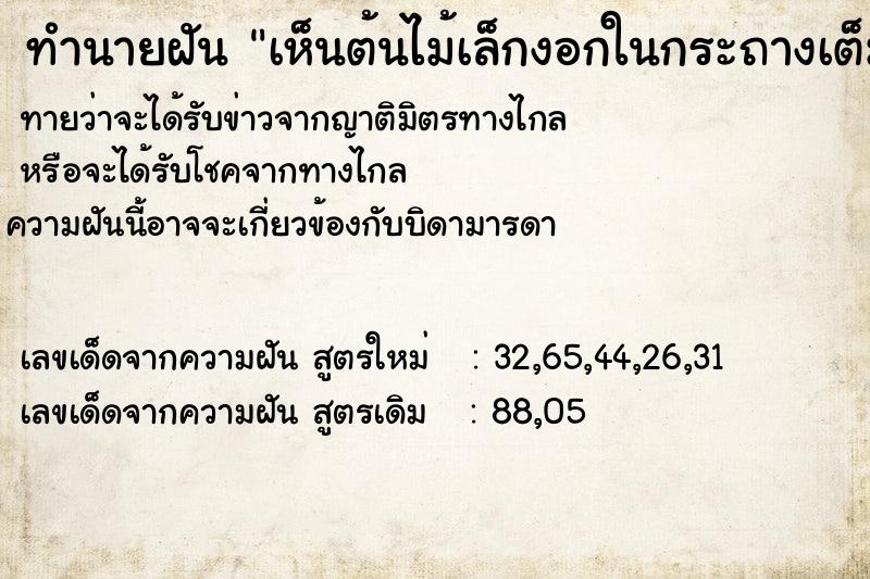 ทำนายฝัน เห็นต้นไม้เล็กงอกในกระถางเต็มไปหมด