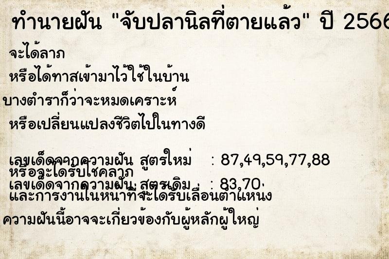 ทำนายฝัน จับปลานิลที่ตายแล้ว  เลขนำโชค 