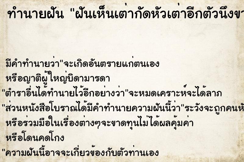 ทำนายฝัน ฝันเห็นเต่ากัดหัวเต่าอีกตัวนึงขาด