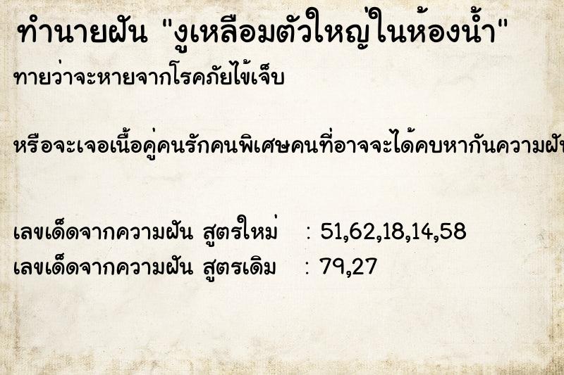 ทำนายฝัน งูเหลือมตัวใหญ่ในห้องน้ำ