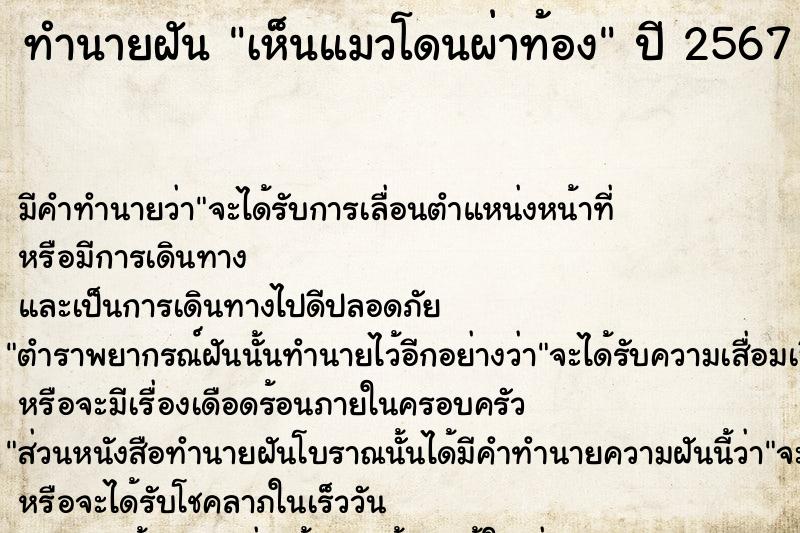 ทำนายฝัน เห็นแมวโดนผ่าท้อง