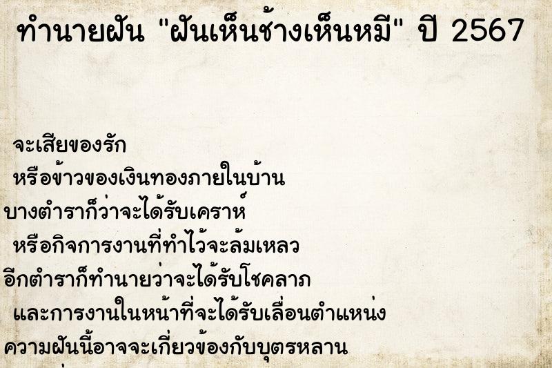 ทำนายฝัน ฝันเห็นช้างเห็นหมี