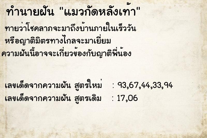 ทำนายฝัน แมวกัดหลังเท้า