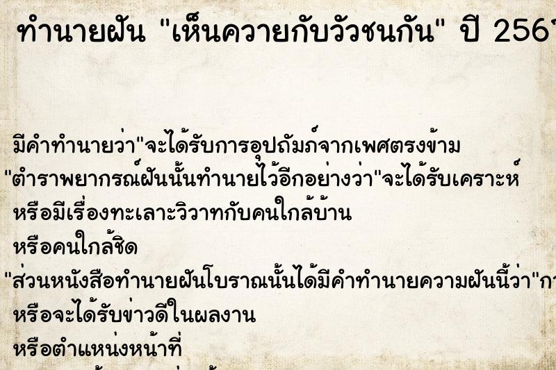 ทำนายฝัน เห็นควายกับวัวชนกัน