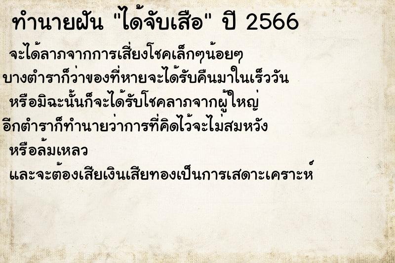 ทำนายฝัน ได้จับเสือ  เลขนำโชค 