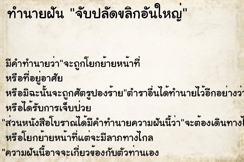 ทำนายฝัน จับปลัดขลิกอันใหญ่