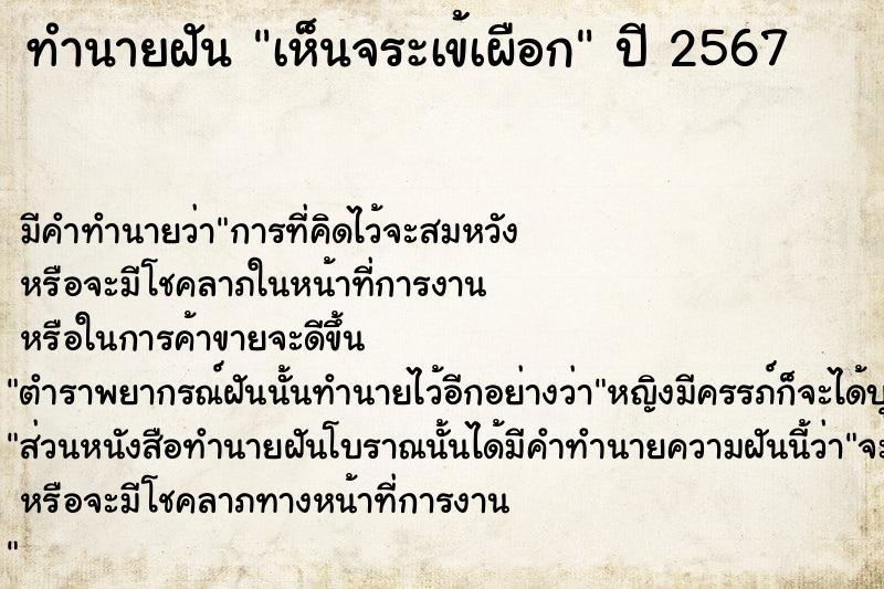 ทำนายฝัน เห็นจระเข้เผือก  เลขนำโชค 