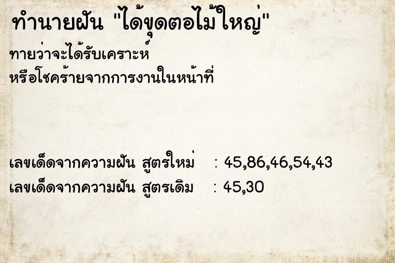 ทำนายฝัน ได้ขุดตอไม้ใหญ่