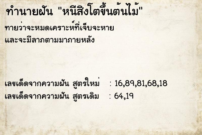 ทำนายฝัน หนีสิงโตขึ้นต้นไม้