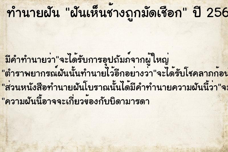 ทำนายฝัน ฝันเห็นช้างถูกมัดเชือก