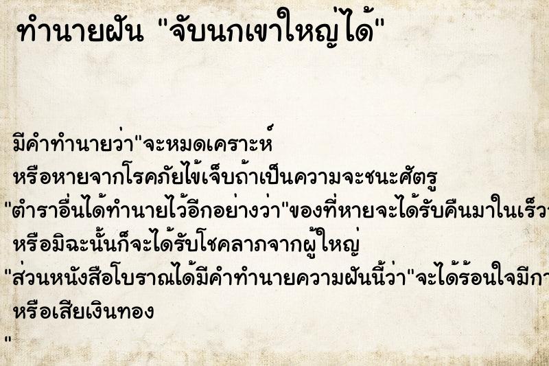 ทำนายฝัน จับนกเขาใหญ่ได้