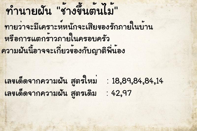 ทำนายฝัน ช้างขึ้นต้นไม้